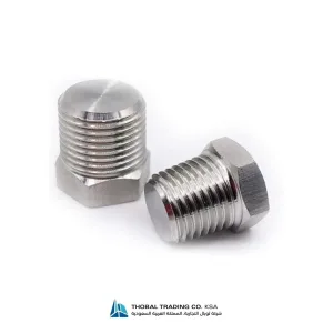 Stainless Steel Hex Plugs