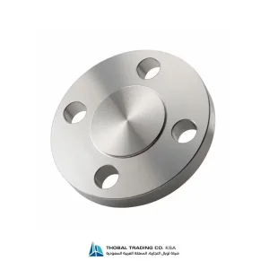 Stainless Steel Blind Flanges