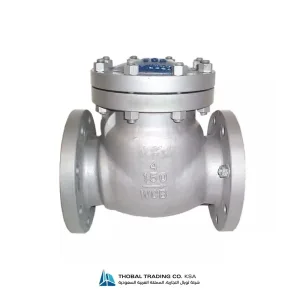 Industrial stainless steel flanged swing check valve installed in a schedule 40 piping system