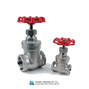 Threaded stainless steel gate valves